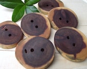 Wood Buttons - 6 Cedar Wooden Tree Branch Buttons - 1 3/4 x 1 1/2 inches, 2 Holes, For Knitting, Journals, Pillows, Purses
