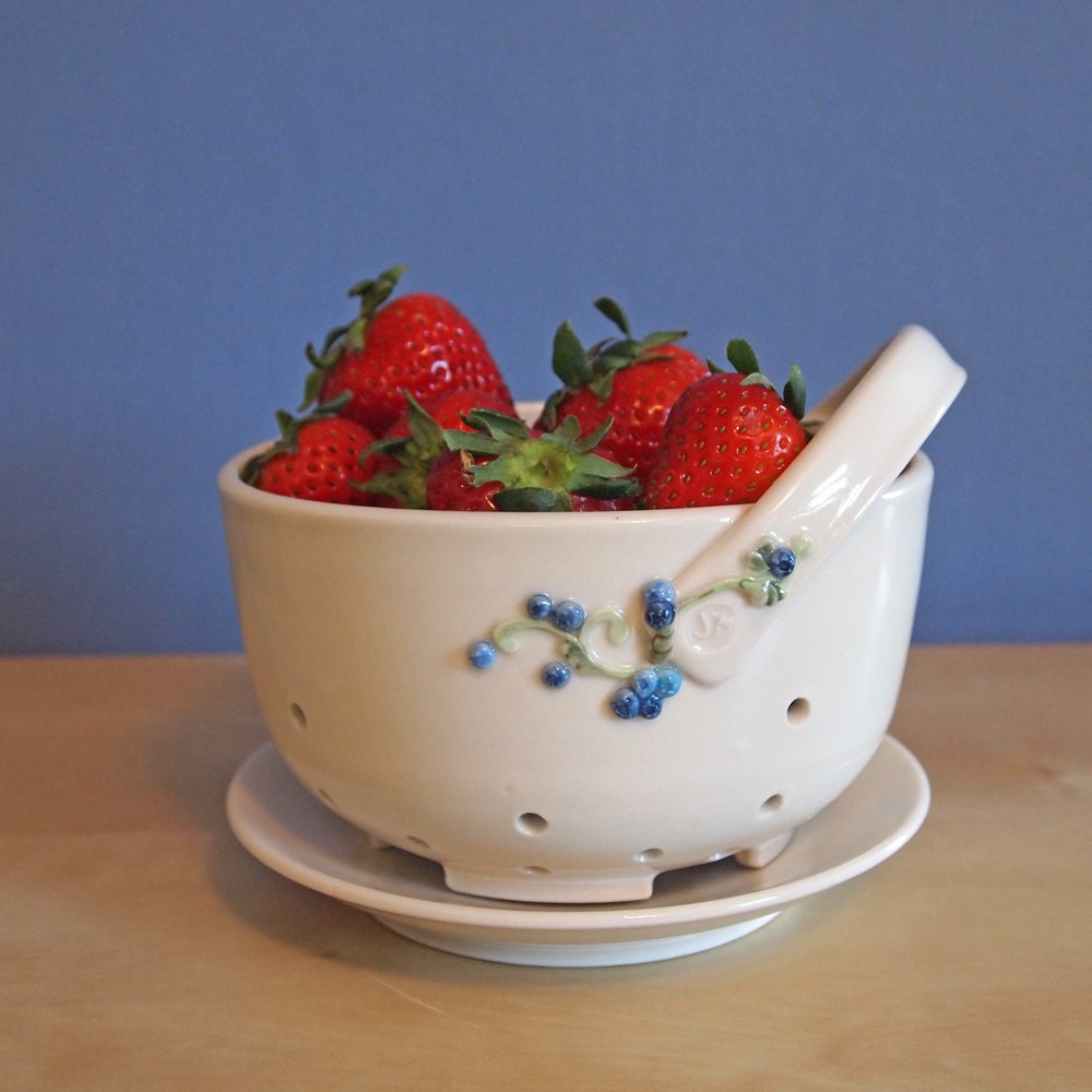 white berry bowl with blueberries