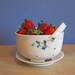 white berry bowl with blueberries