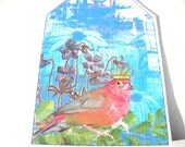 Blue Bird Collage Style Gift Tags Set of 6
