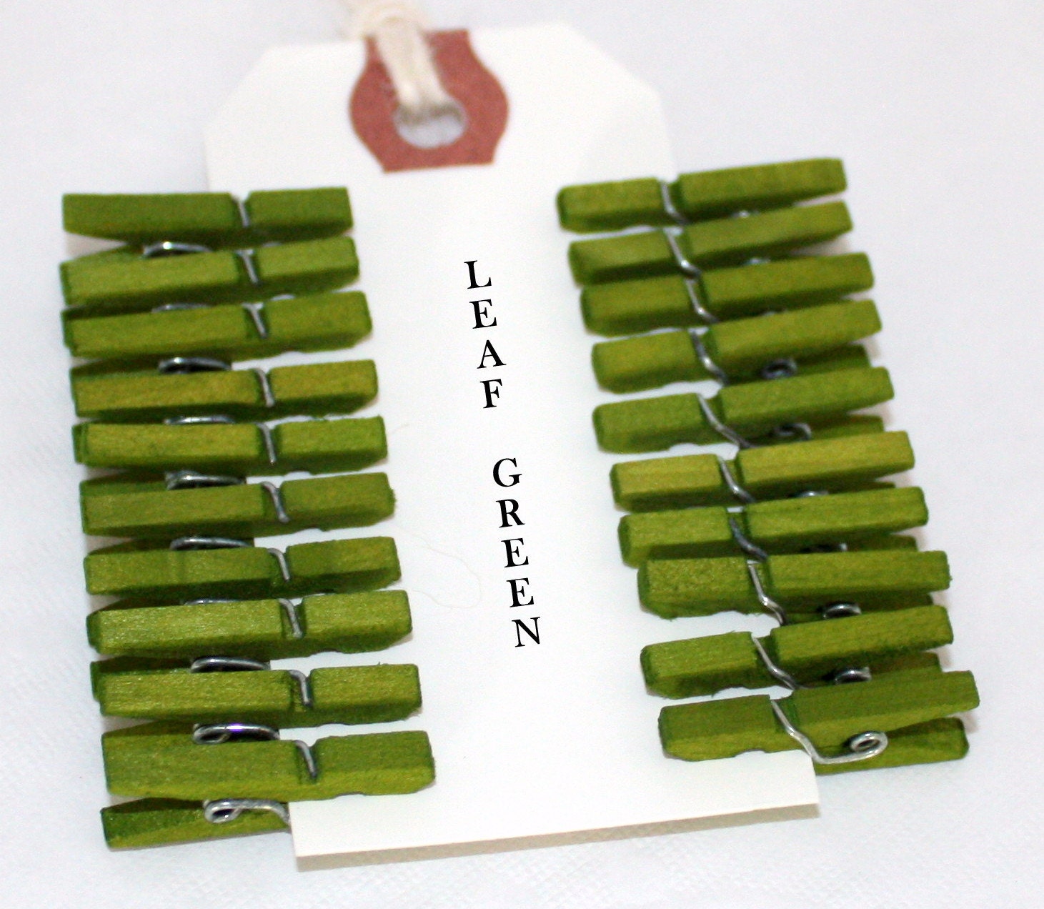 Mini Clothespins - Leaf Green -  Pantone Spring 2013 Tender Shoots - 20 - 1 inch