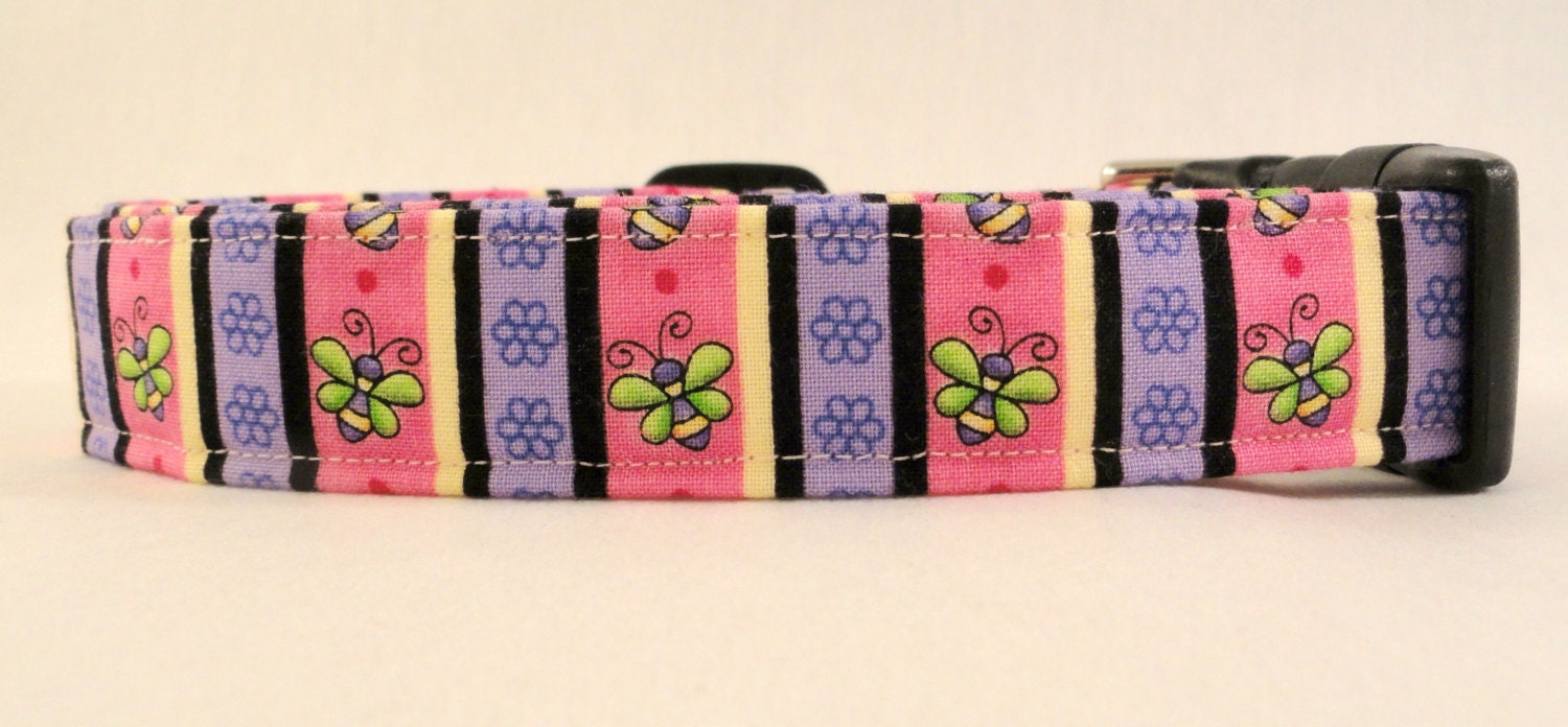 Awesome Pink and Purple Striped Bee Dog Collar
