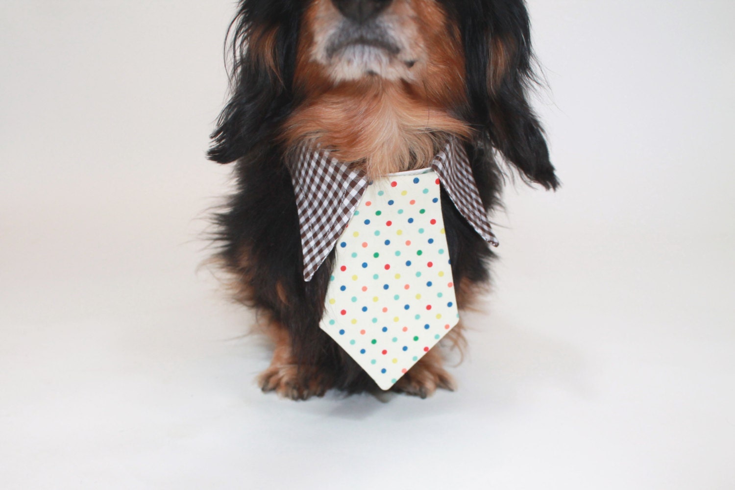 dog tie- shirt and tie collar- birthday tie- wedding dog tie- cat tie- pet tie- green- cupcake print