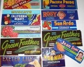 11 Vintage California Fruit and Vegetables Crate Labels Rosy Grapes Jean Yams Nob Hill