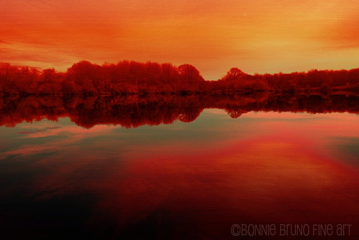 Nature Photography 11x14 End of the Day fine art print