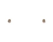 Small Silver Dot Studs