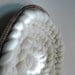 Merino wool braid, one pound/ 16 oz. natural undyed merino wool top for spinning, felting or as a photo prop