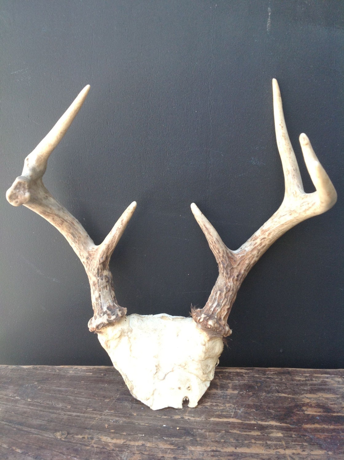 Vintage Set of Deer Antlers No. 2