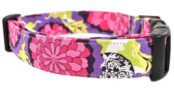 Floral Dog Collar - Purple Zinnia