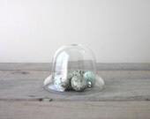 Small Vintage Glass Cloche Bell Jar Dome
