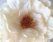 PETULA Girls Oversized Dark Ivory Silk Peony on Gold Headand for Infants, Babies, Toddlers, Kids and Adults