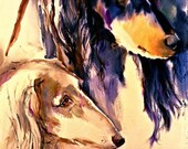 Salukis Watercolor Fine Art dog print SIGNED by the Artist Carol Ratafia DOUBLE MATTED to16x20
