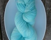 HP Series: "Shellish" Superwash Merino Fingering Yarn Bay