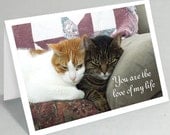Valentine card Anniversary card - You are the love of my life - Cute cats greeting card (Ready to ship) 051LU