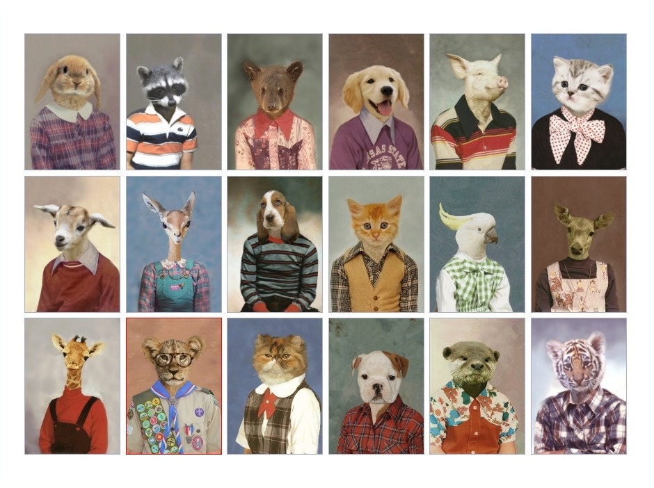 Picture Day - 18 X 24 Fine Art Print