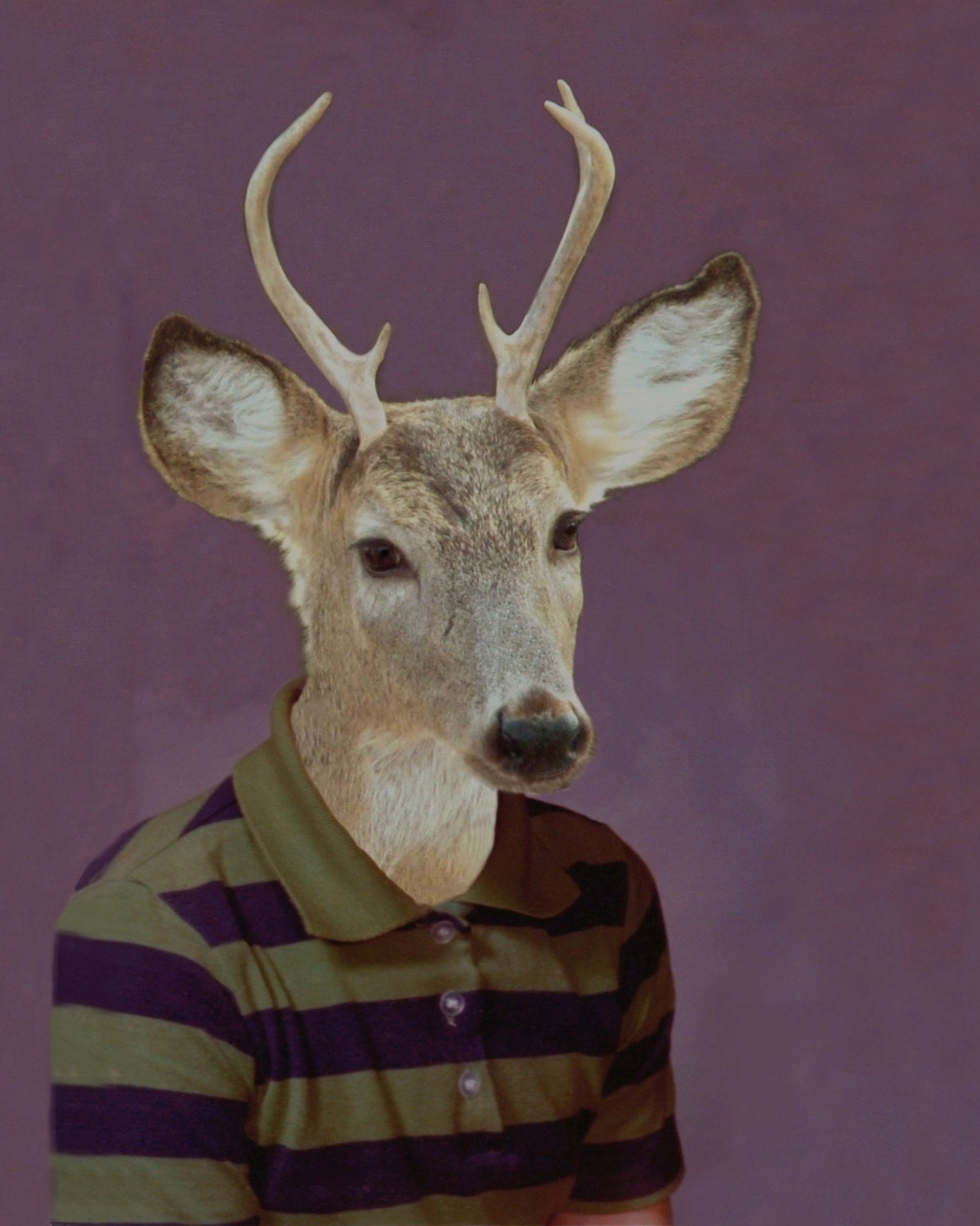 Bucky, 3rd Grade- 18" X 24" Art Print