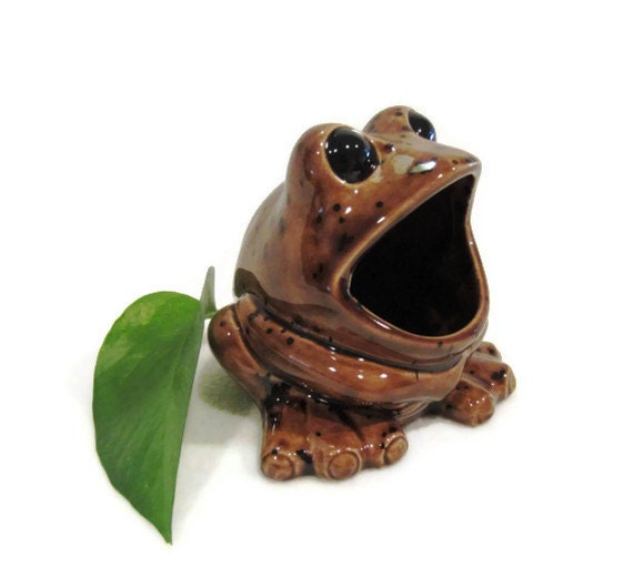 Kitchen Accessories -  Sponge Holder -  Brown Frog