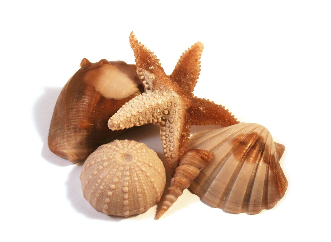 Seashell Soap in Brown and Beige - Decorative Soap - Mother's Day Gift Soap for Her - Beach Theme Wedding Favor - Nautical Hostess Gift
