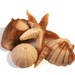 Seashell Soap in Brown and Beige - Decorative Soap - Mother's Day Gift Soap for Her - Beach Theme Wedding Favor - Nautical Hostess Gift