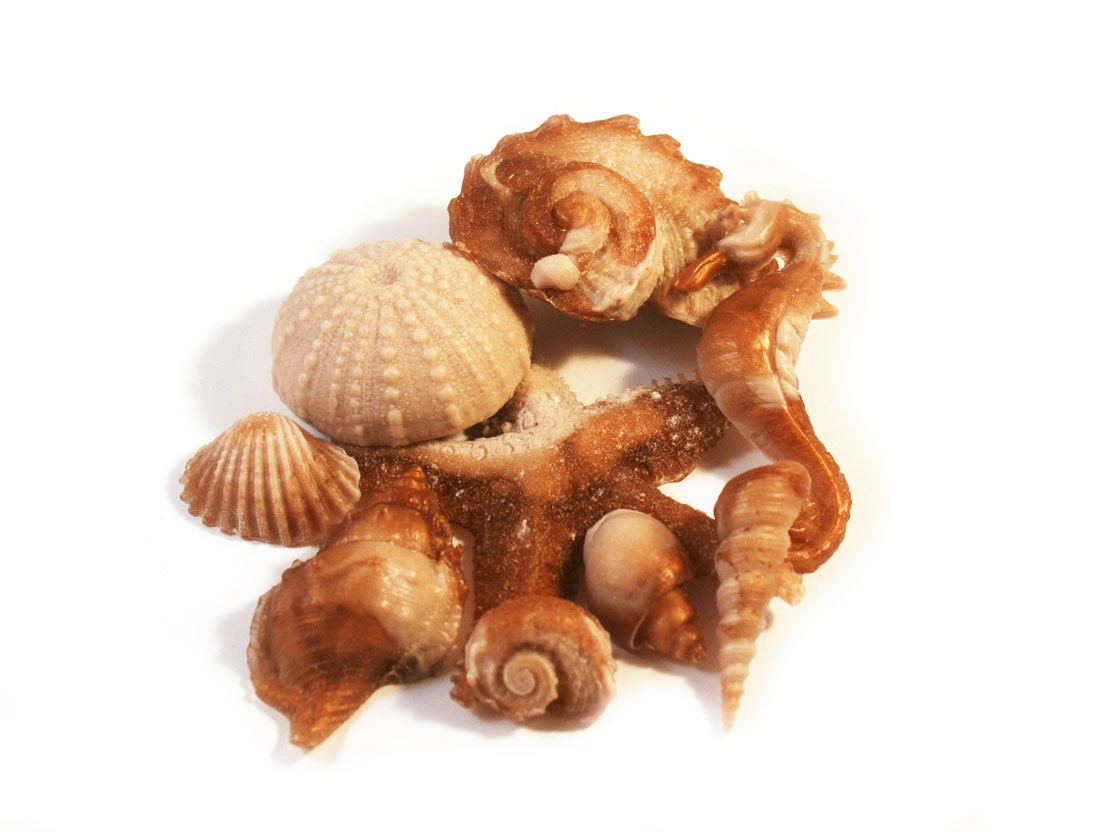Shell Soap in Brown and Beige - Seashell Soap - Decorative Soap - Valentine's Gift Soap for Her - Beach Theme Wedding Favor - Hostess Gift