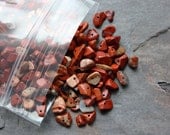 Red Jasper Pre-Drilled Stone Chip Beads - 3 ounce bag