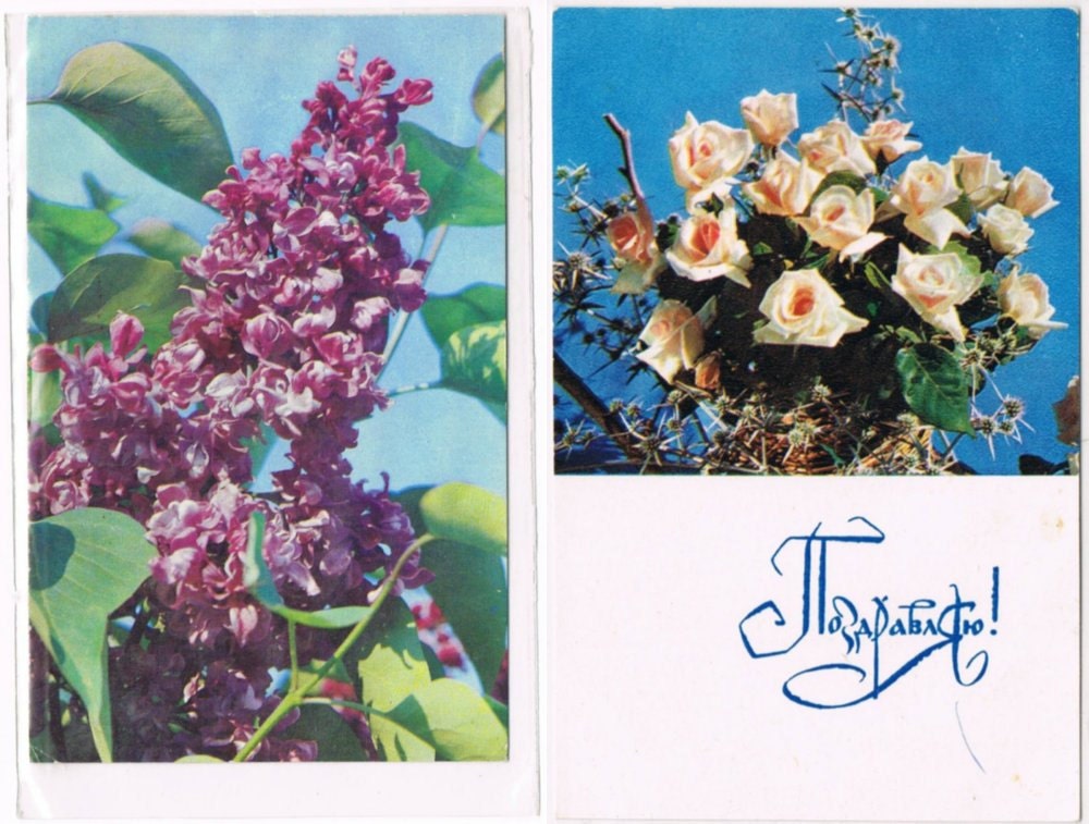 12 Vintage Flower Postcards - Flora - Germany and Eastern Europe