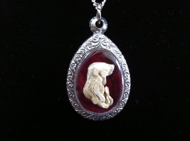 Memento Mori Necklace, Mummified Fetal Mouse Pendant, Mummy Fetus Jewelry