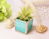 Ocean Blue Stained Glass Tillandsia Air Plant Holder (airplant included)