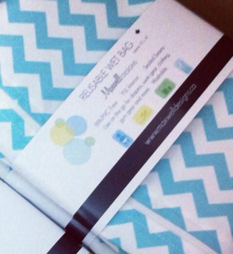 Wet Bag Heat Sealed Medium - Aqua Chevron small