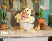Knit Baby Bird Hat, Duck Chick Beanie, Newborn Infant Cap, All Sizes NB- Adult, Great Photo Prop