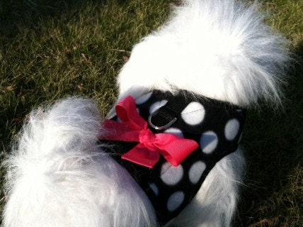 Crazy Dot  Small Dog Harness