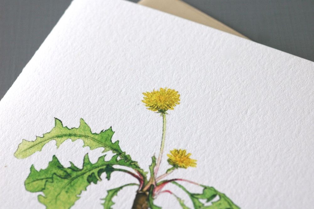 Dandelion Notecard