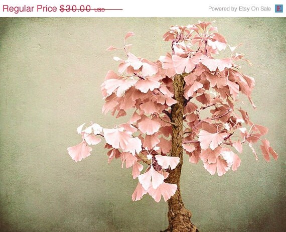 ON SALE Gingkosai - 8x10 Fine Art Print