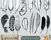 Feather Silhouette Clip Art - Feather Outlines - Digital Stamps, Graphics - ABR Photoshop Brushes & PNG Stamps - Hand Drawn in Illustrator
