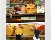 Cat Card- Cats in Cheese Shop- Funny Cat Card