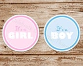 SET of 12 GENDER REVEAL Favor Tags or Stickers : It's a Boy, It's a Girl, Baby Shower, Pink, Blue Il_170x135