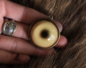 Taxidermy Glass Wolf Eye Pendant in Bronze