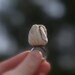 Porcelain Tulip Ring with wide adjustable band