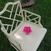 Vintage Chippendale Arm Chair Palm Beach Shabby Chic Cottage Style at Retro Daisy Girl