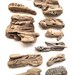 12 Unique Driftwood pieces for craft projects, aquarium or home decor