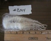 Border Leicester Raw Wool Unwashed Fiber Nice BM4
