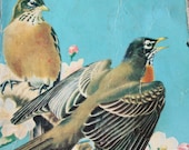 Vintage 1950's Golden Nature Book - Birds