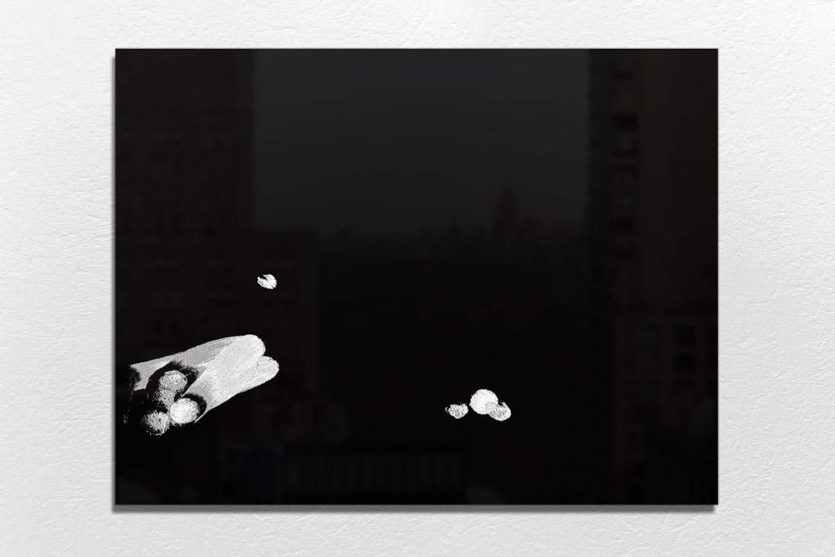Angry Birds App Art - Limited Black/White