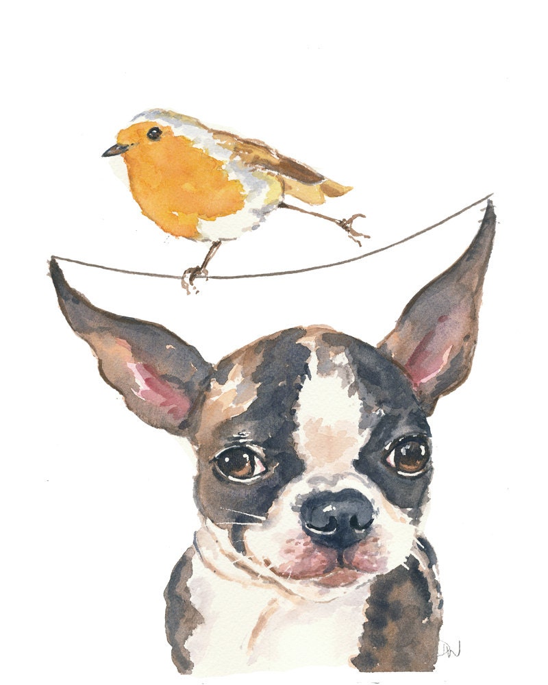 Original Dog Watercolor - Boston Terrier, English Robin, Daredevil, Robin Watercolour, 8x10 Painting