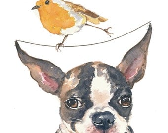 Original Dog Watercolor - Boston Terrier, English Robin, Daredevil, Robin Watercolour, 8x10 Painting