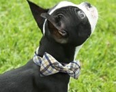 Bowtie Collar -Plaid Blue Yellow-