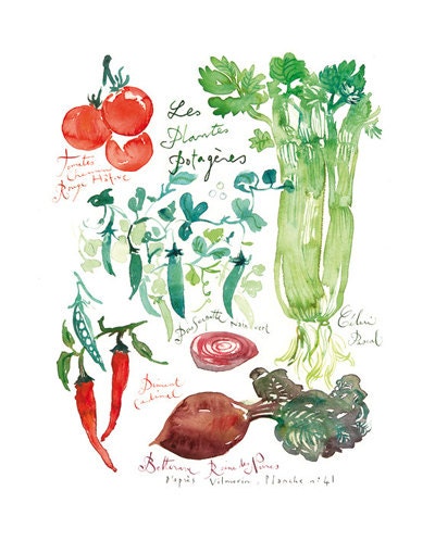 Vegetable watercolor painting, Tomato, peas, chili pepper and celery poster, 8X10 botanical print, Kitchen art, Food artwork wall decor
