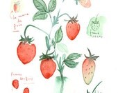 Strawberries original watercolor painting fruit illustration botanical poster food art kitchen decor red fruits