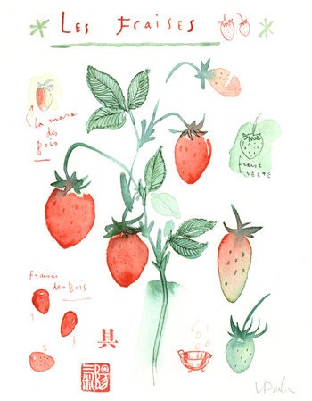 Strawberries original watercolor painting fruit illustration botanical poster food art kitchen decor red fruits