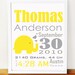 Baby Elephant Birth Announcement,  Yellow and grey nursery wall print A521